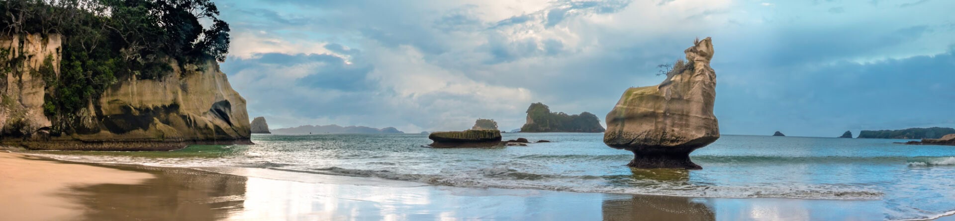 a beach in the Coromandel